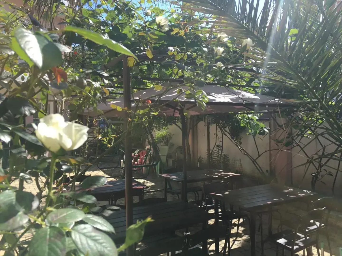 Гостевой дом Ди Анна