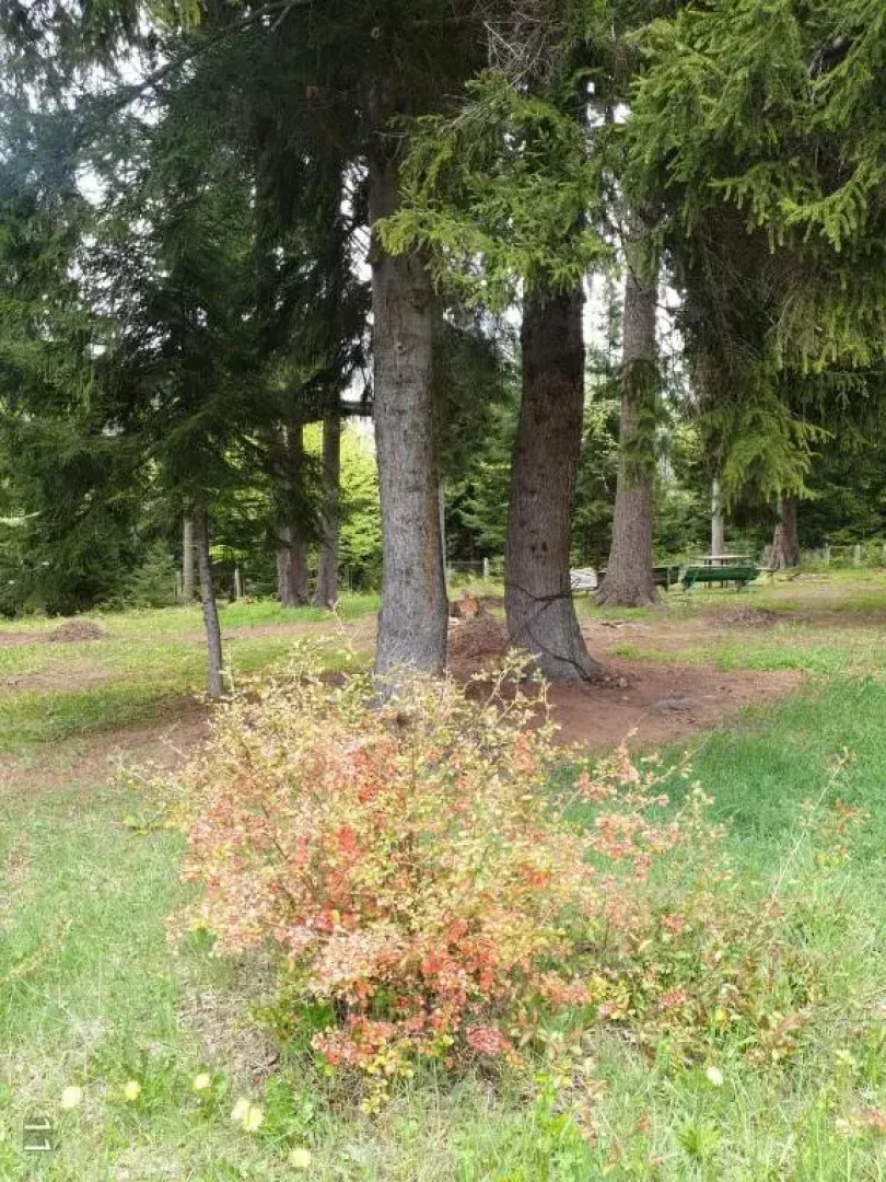 Mountain Resort Gantiadi