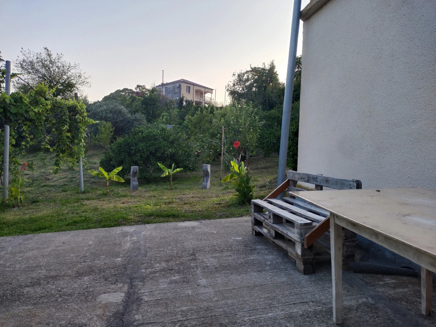 Гостевой дом Цитрус 21