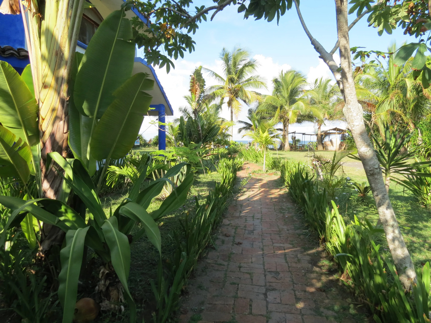 Отель Eco Coco Loco by Rotamundos