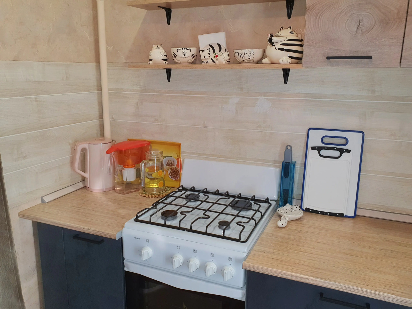 Апартаменты "Багира" рядом Протон-Арена, бассейн ДВВС, СКАД, въезд в город, Р228