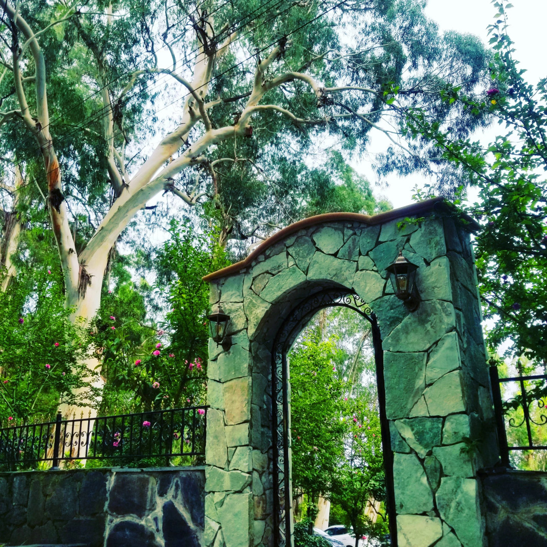 Отель Вита Гардения Цхалтубо