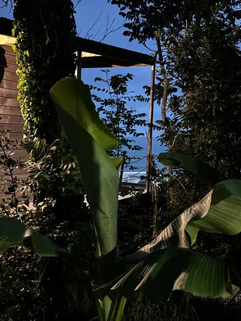 Мини-отель Aqua Palm Resort