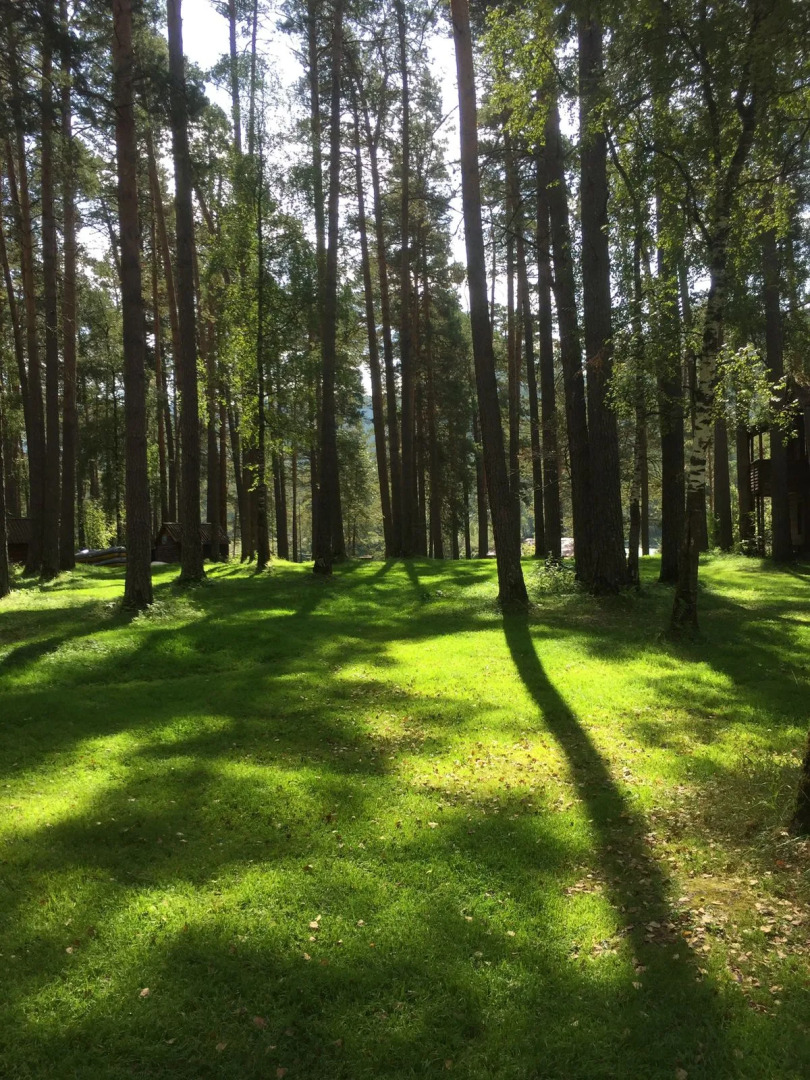 Гостевой дом Семинская поляна