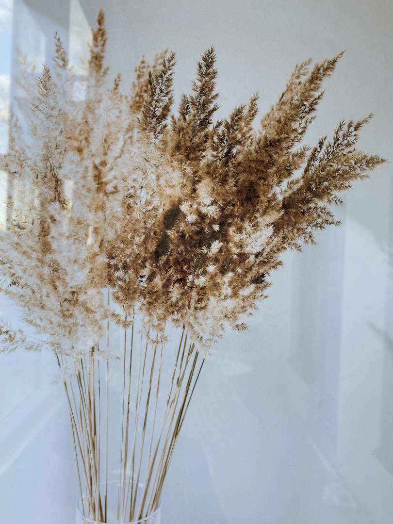 Квартира Класса Люкс