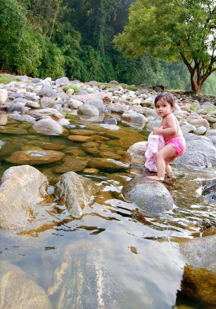 Moon Hill Resort Munnar ( Nature Retreat )