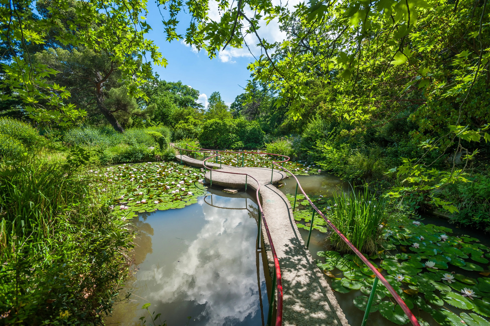 Foros Wellness & Park Sanatorium