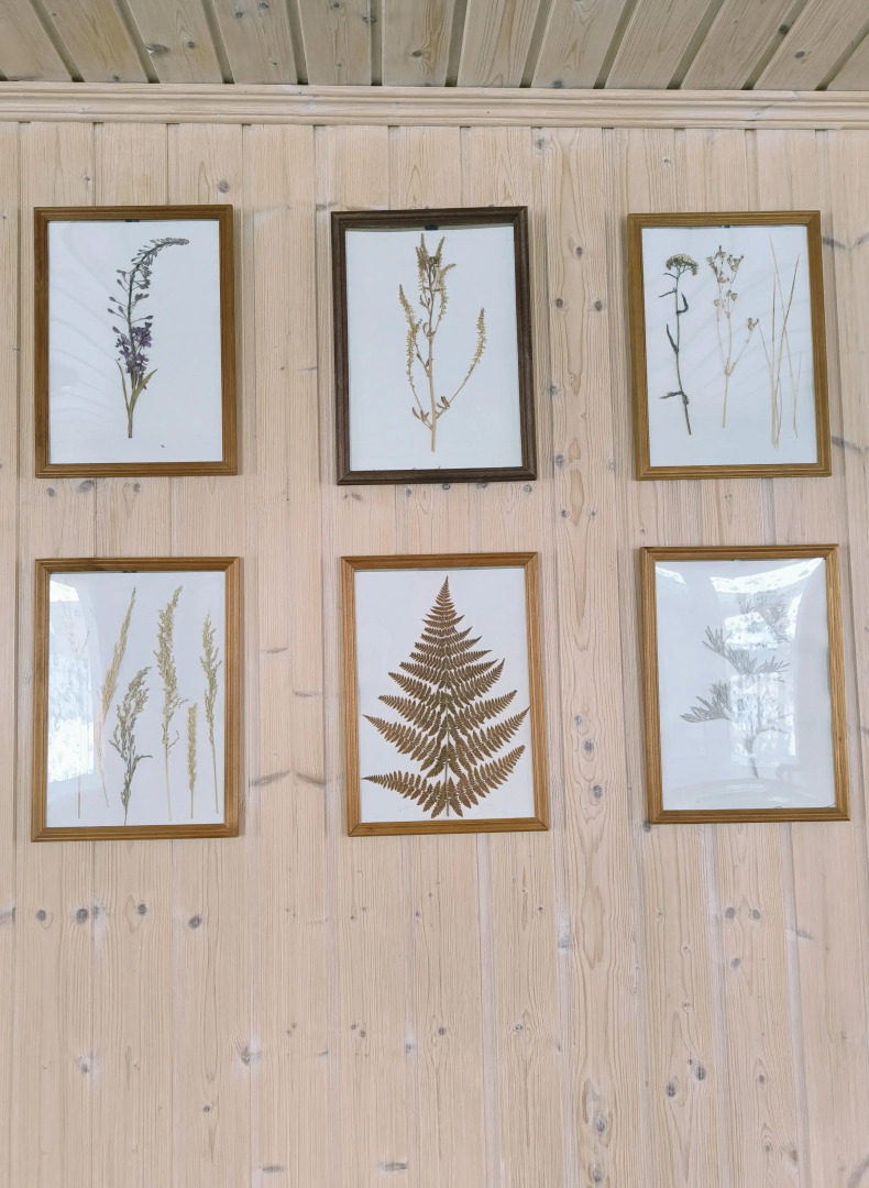 Частный дом Shanti SPA