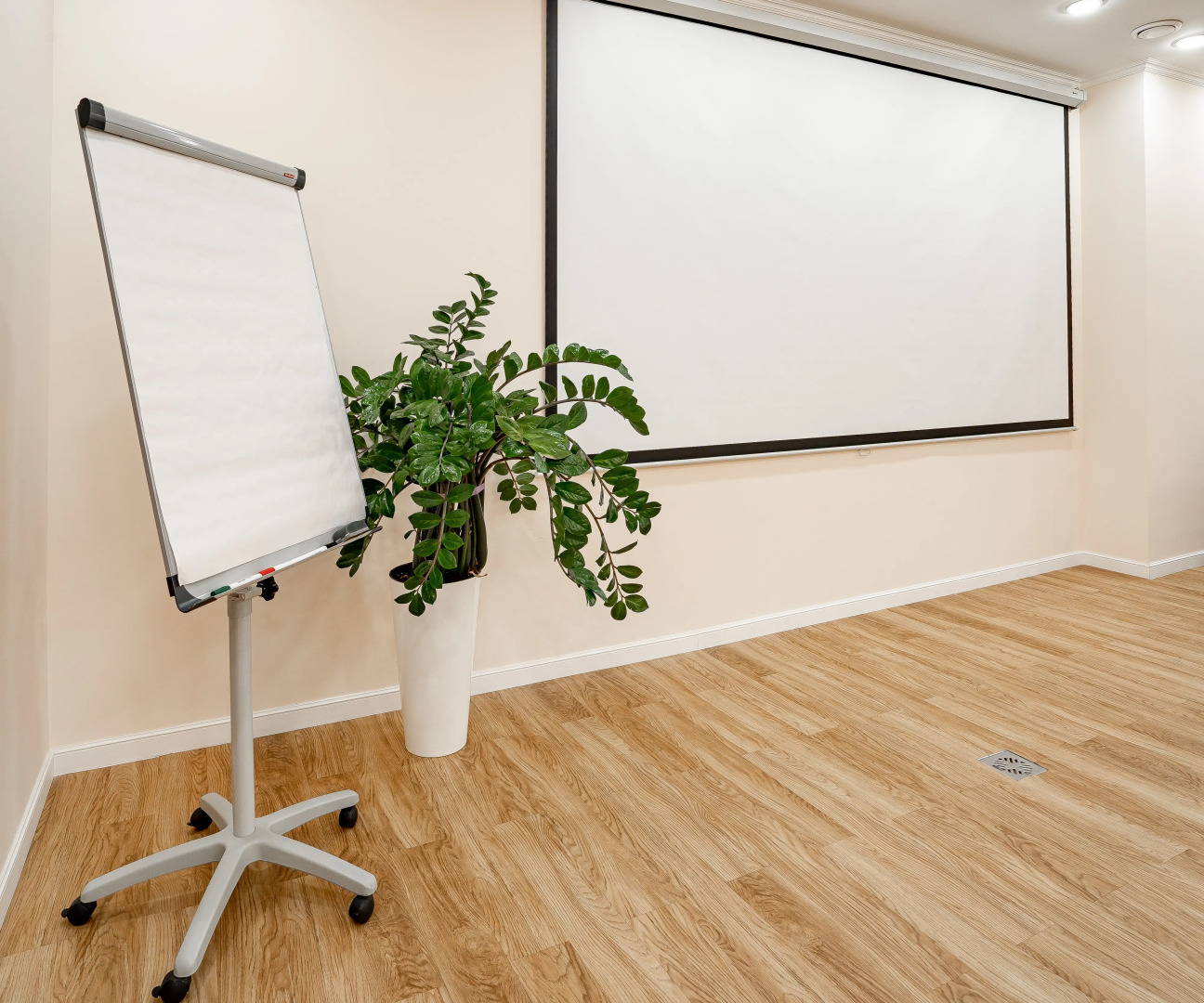 Отель Метрополис