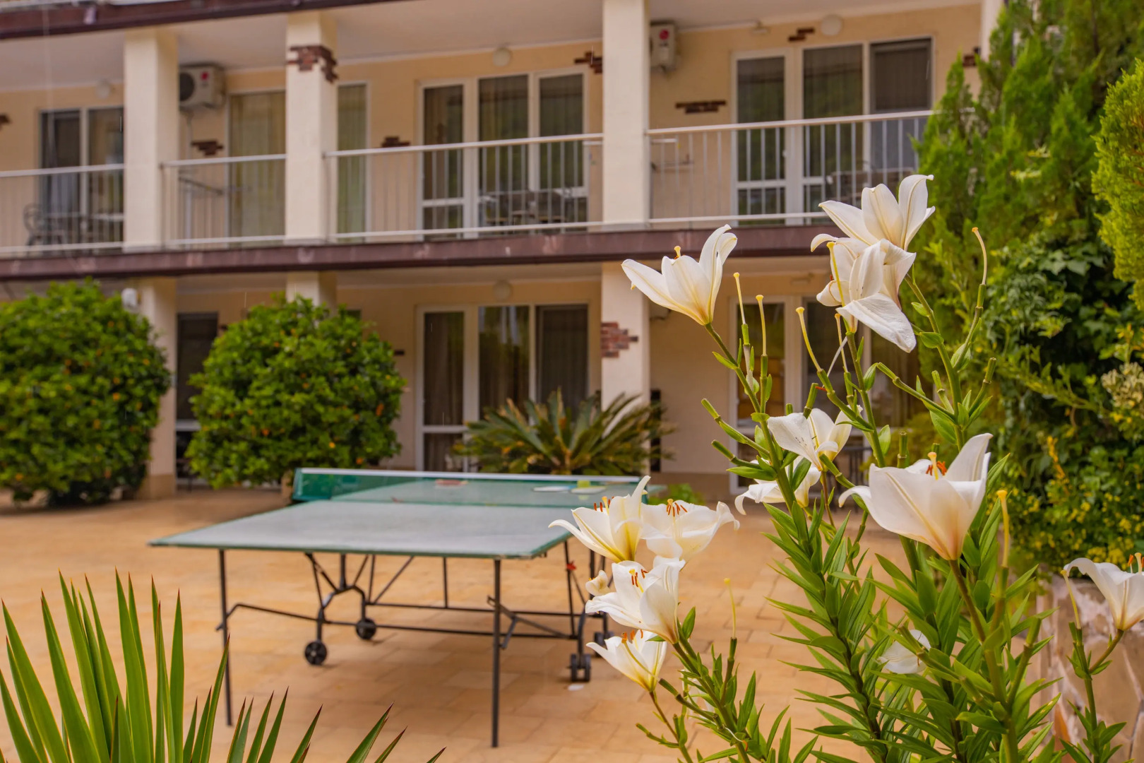 Гостевой Дом Сказка