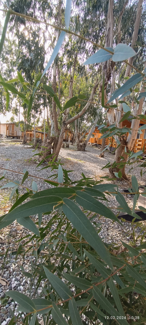 База отдыха Нарт отель