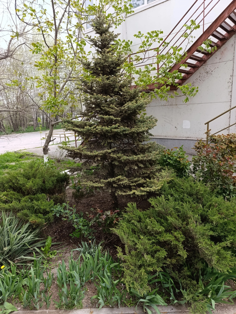 Квартира Уютная Студия на Берегу Моря