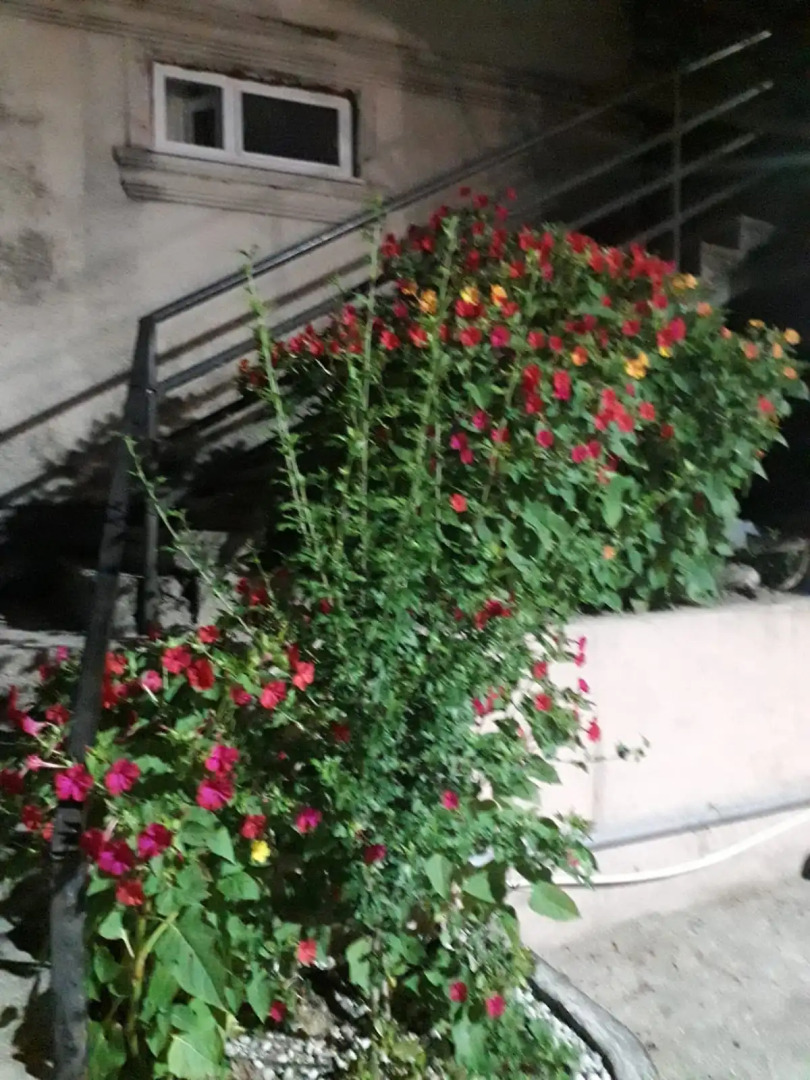 Гостевой дом Руслан и Людмила