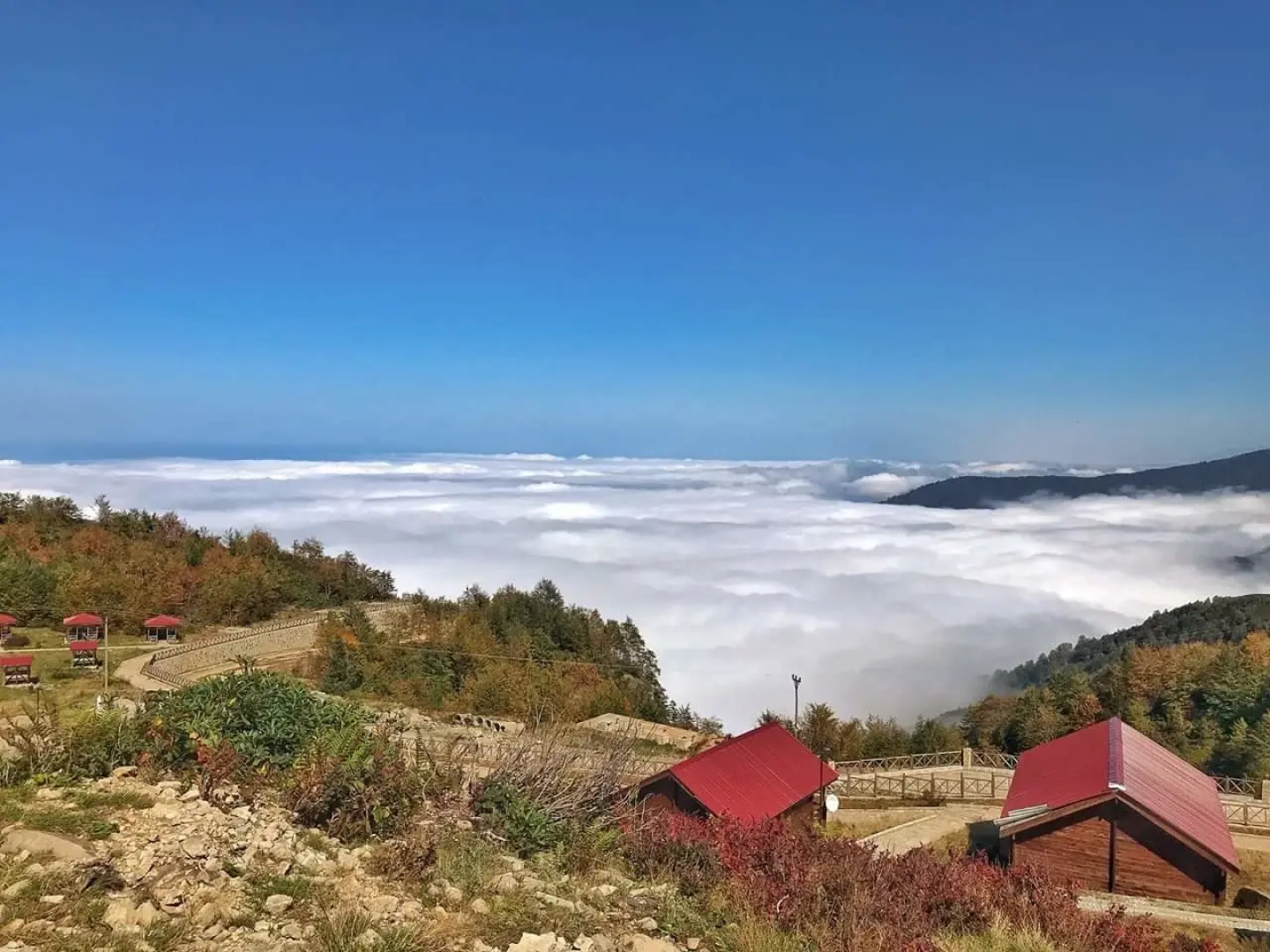 Flora Handüzü Resort & Wellness Bungalow Hotel