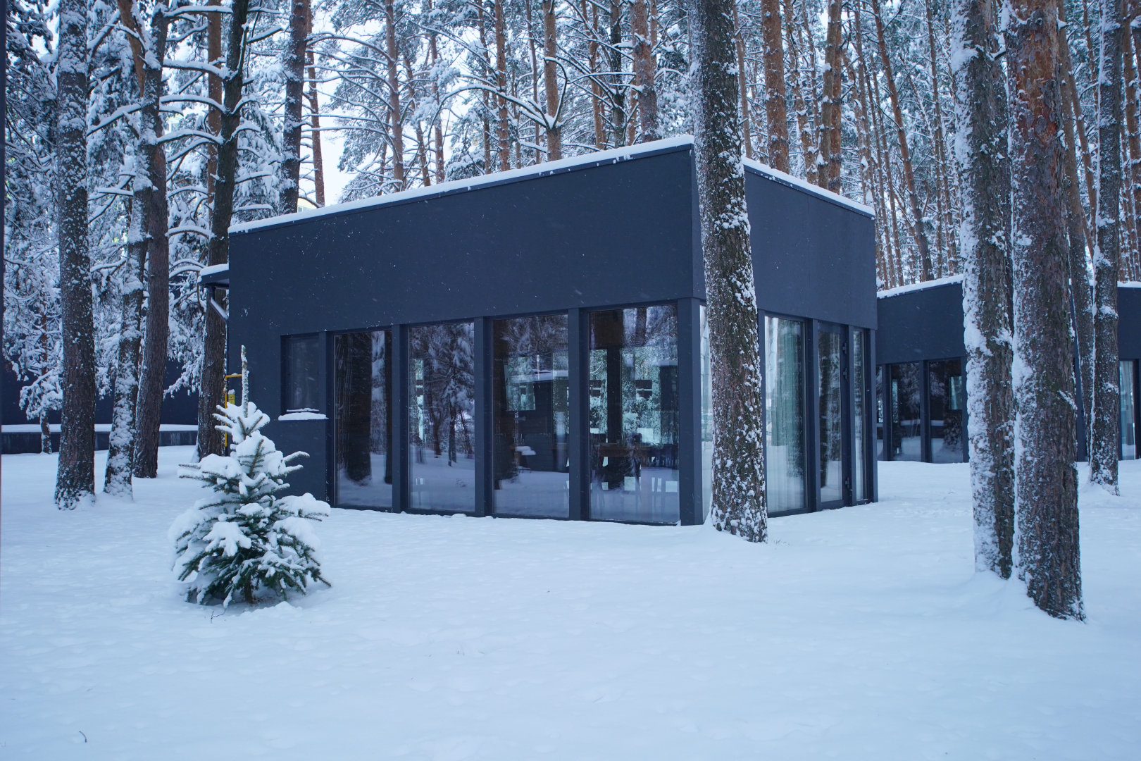 Отель Green Park