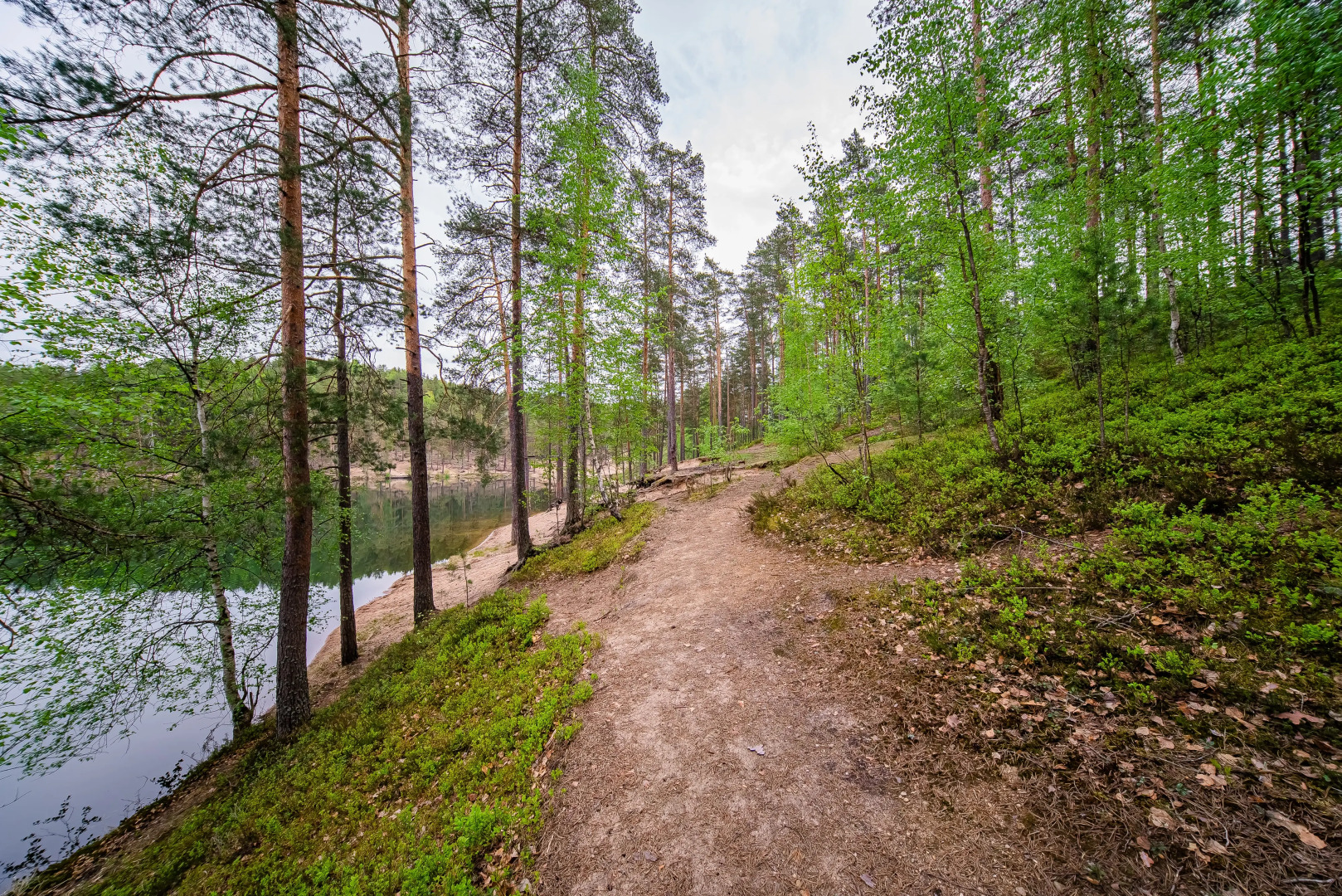 База отдыха Загородный клуб Радужный лес