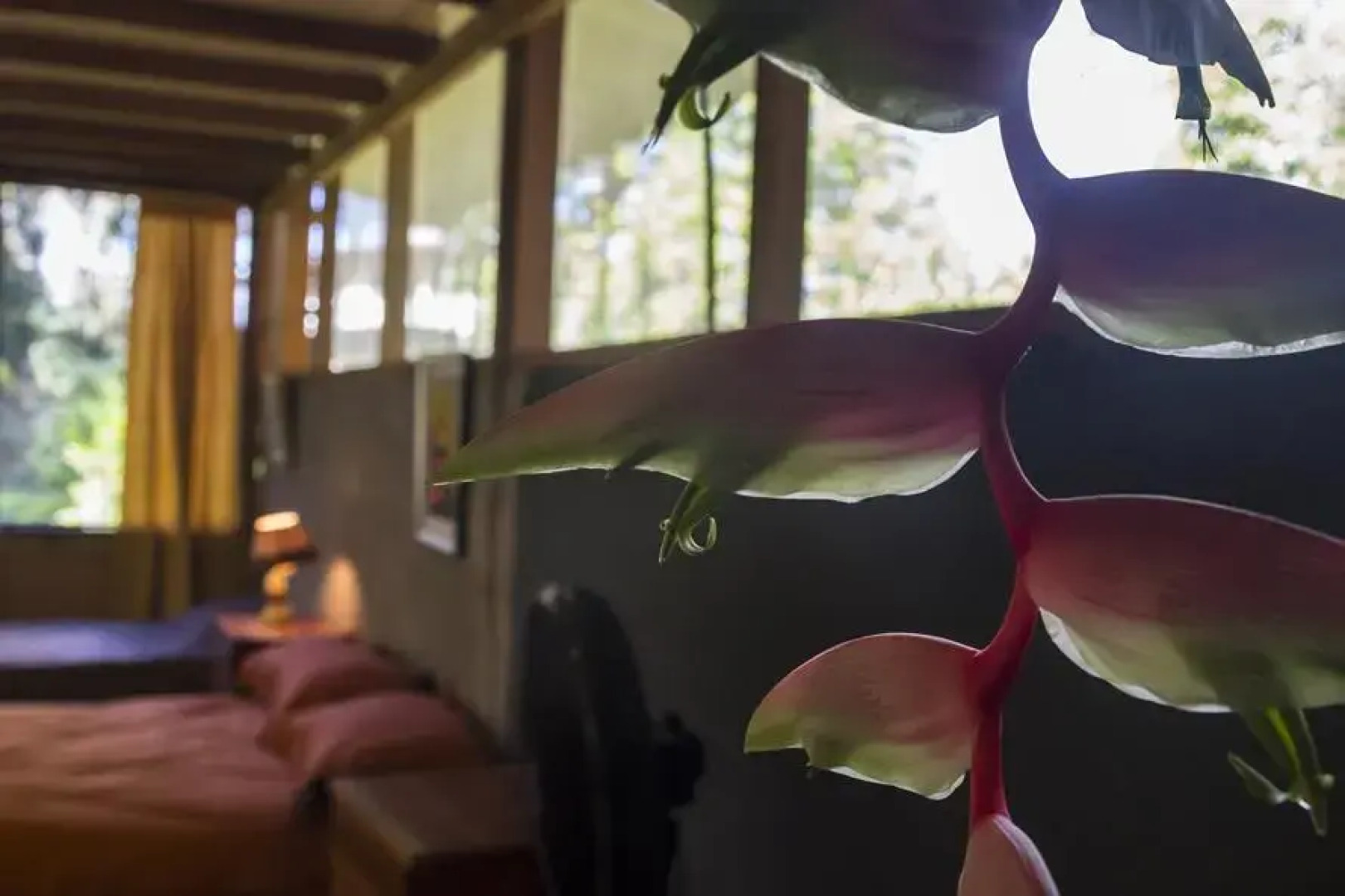 Отель Casa Drake Lodge