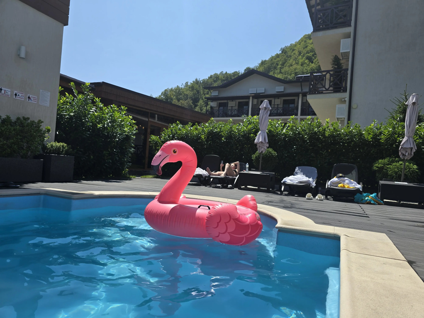 Апартаменты Панорама Ачишхо номер Люкс