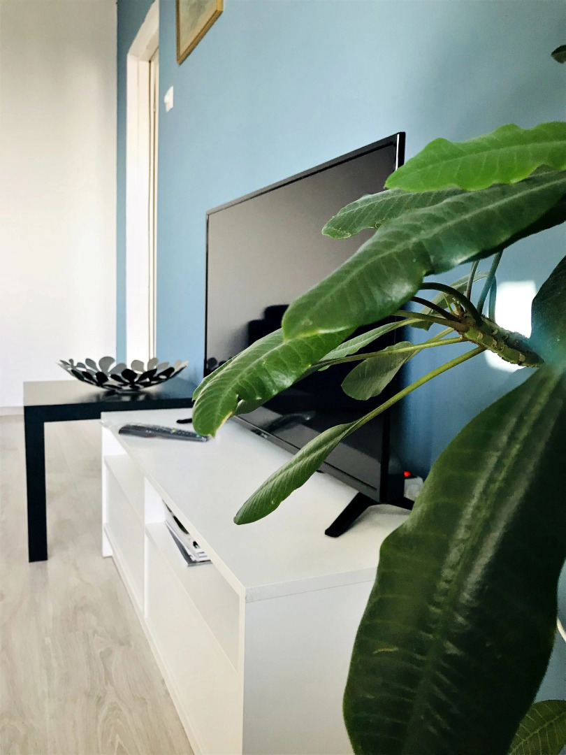 Апартаменты на Баграмяна