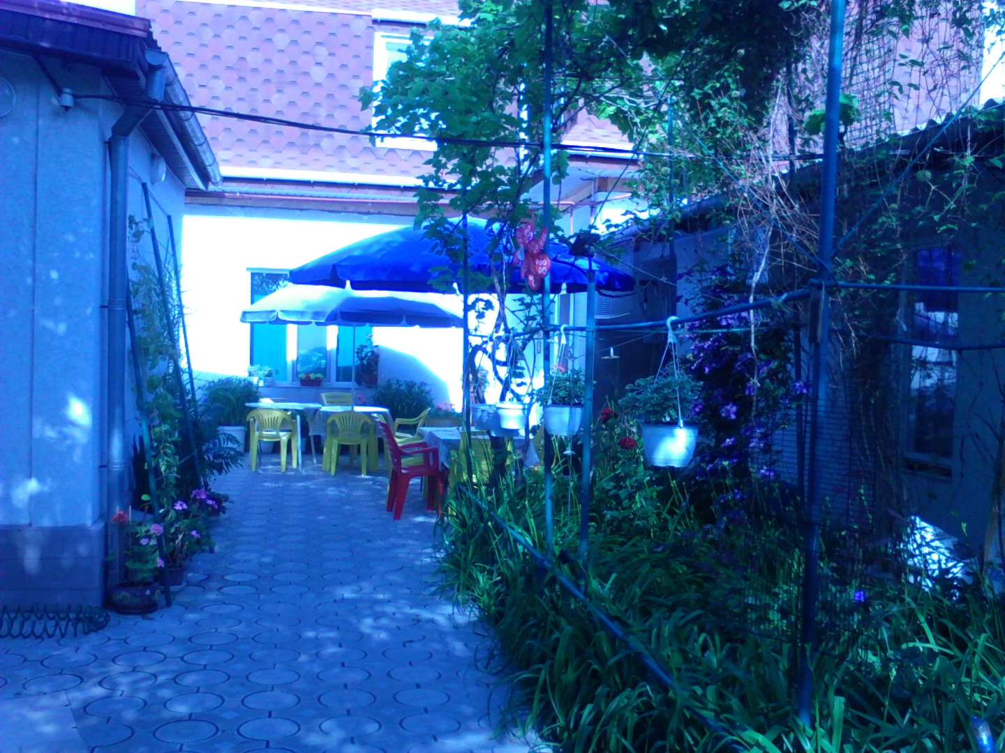 Гостевой Дом Вольная 58