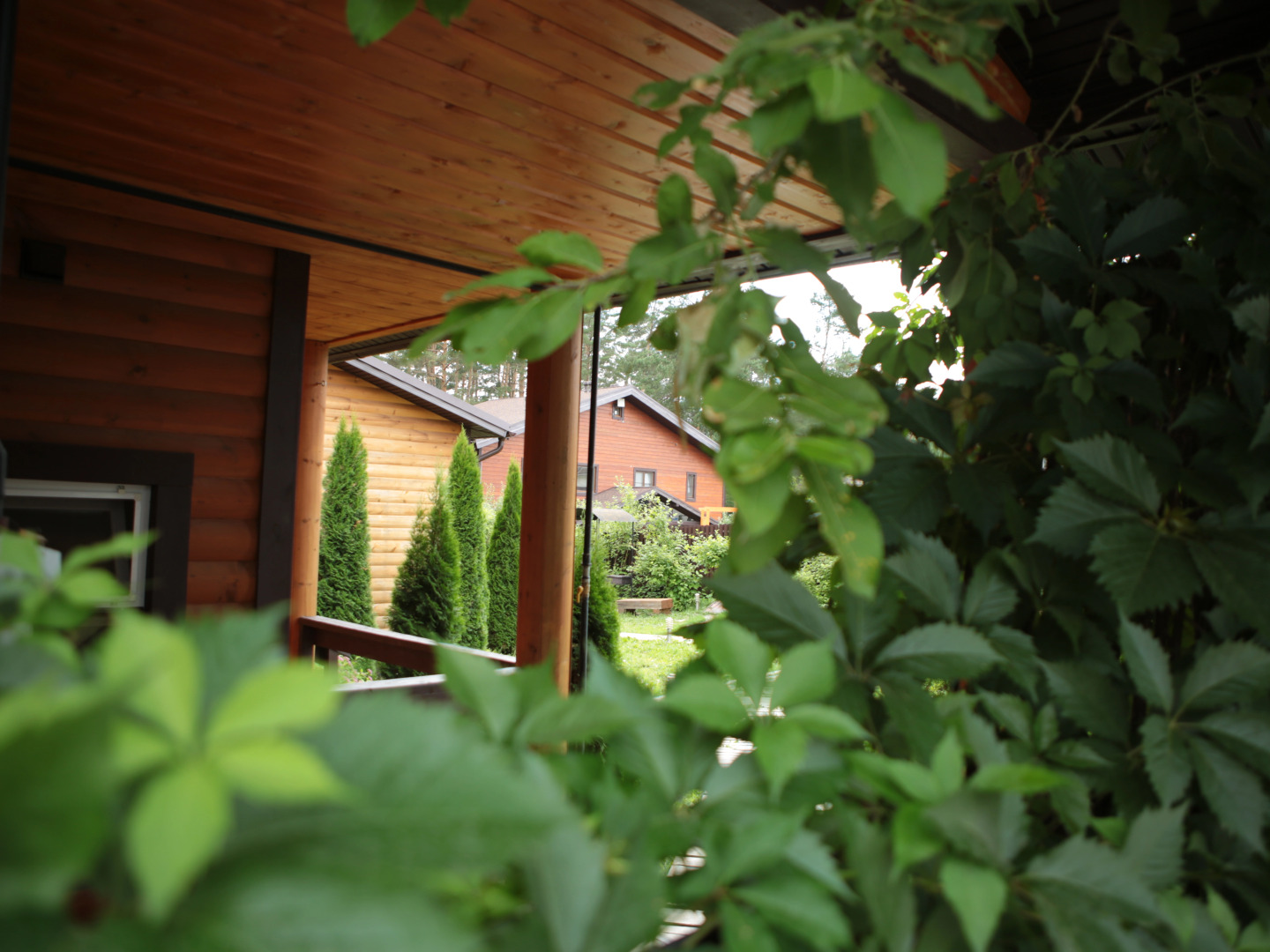 Гостевые дома Три Медведя