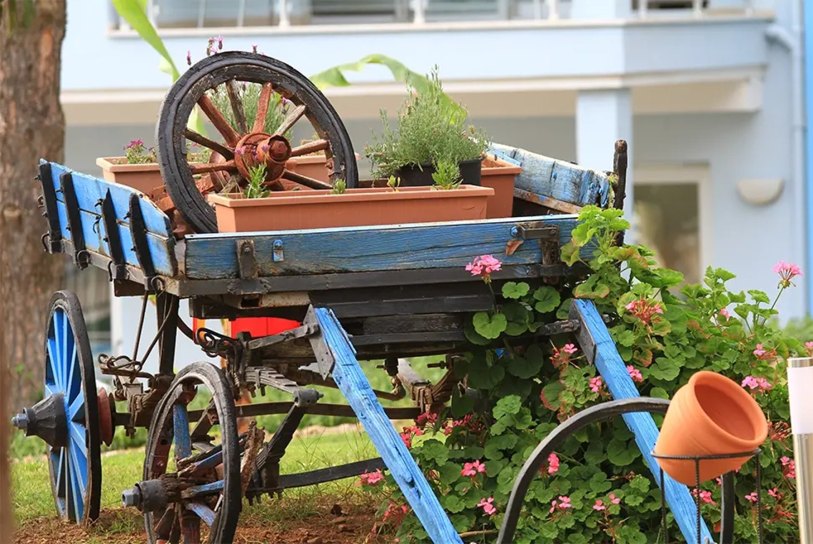 Отель Daisy Garden Resort