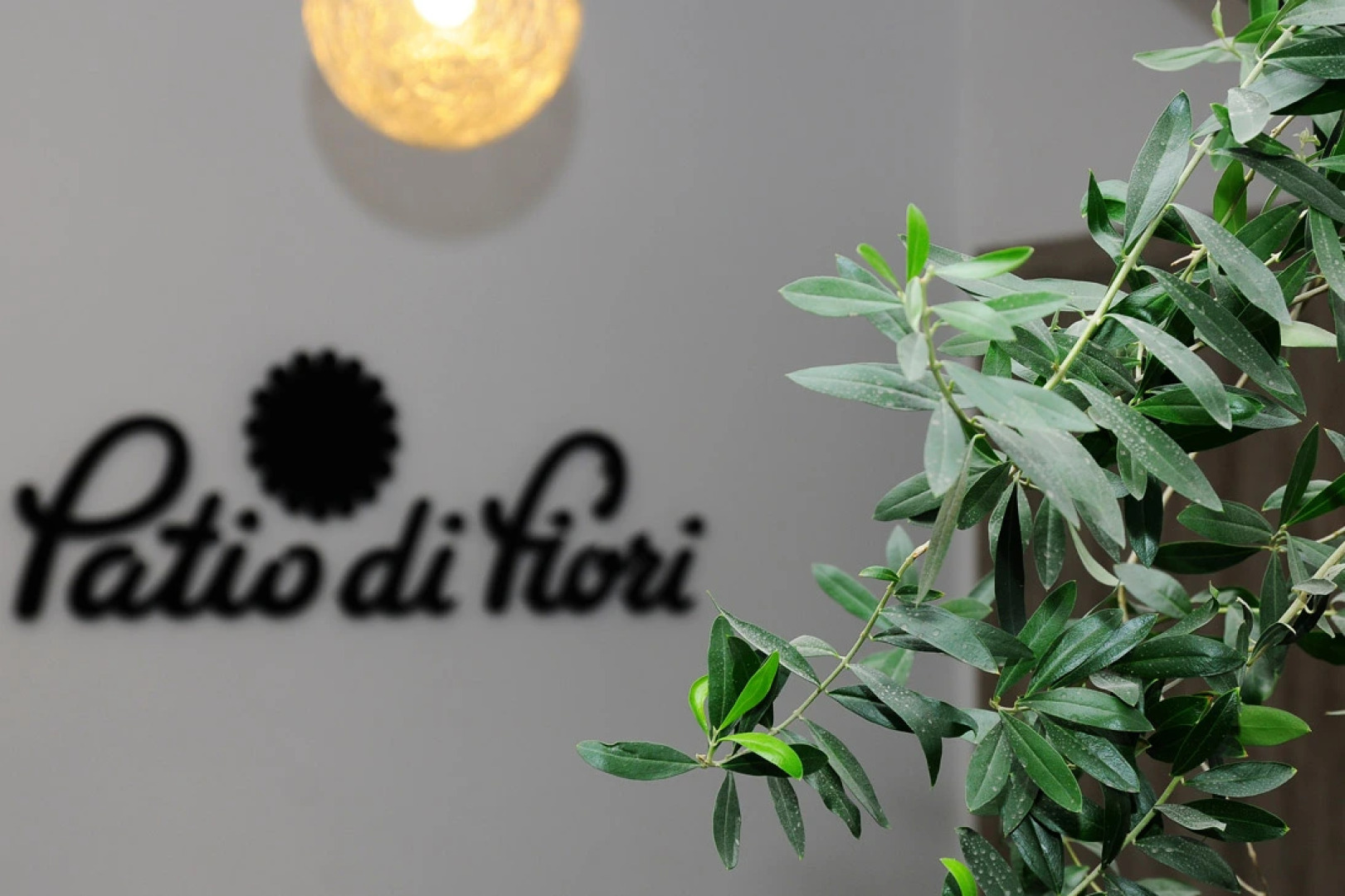 Отель Patio Di Fiori