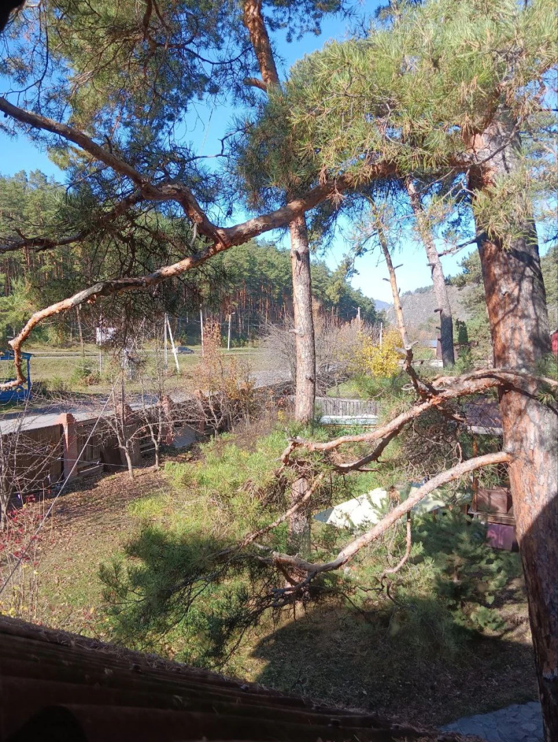 Гостевой дом Усадьба Три Медведя