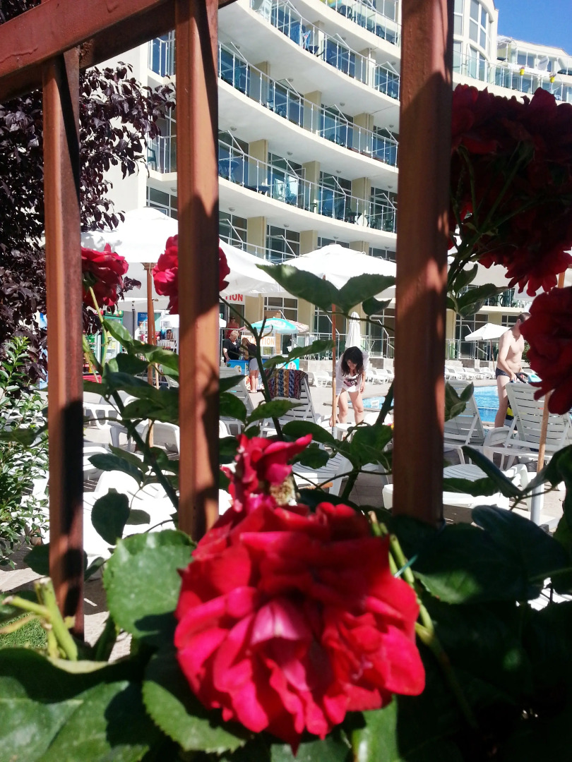 Апартаменты Menada Julia