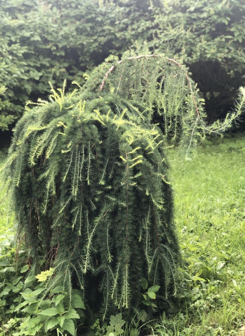 Dlya Dushi I Serdtsa U Mozhayskogo Morya Guest house