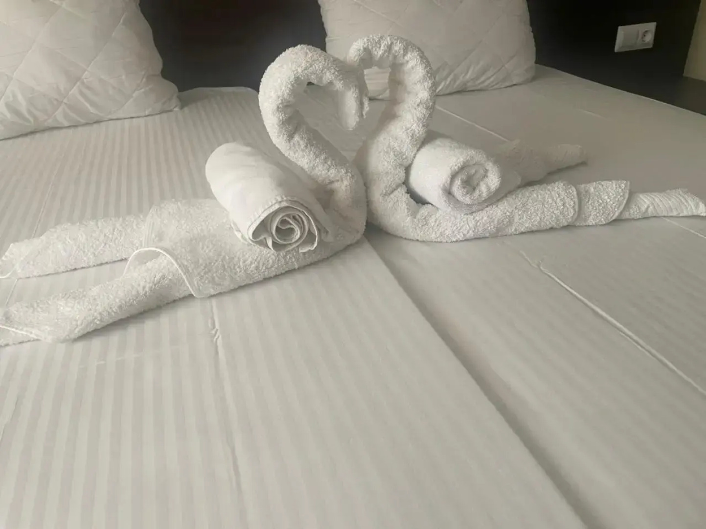 Отель Борис Биф