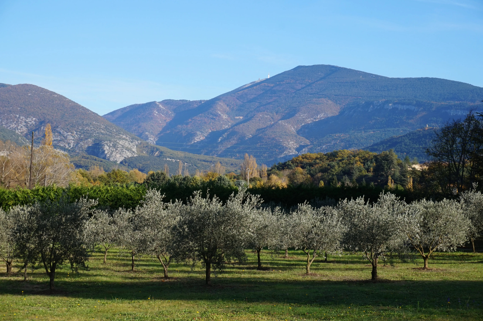 Гостевой Дом Mas de Cocagne en Provence