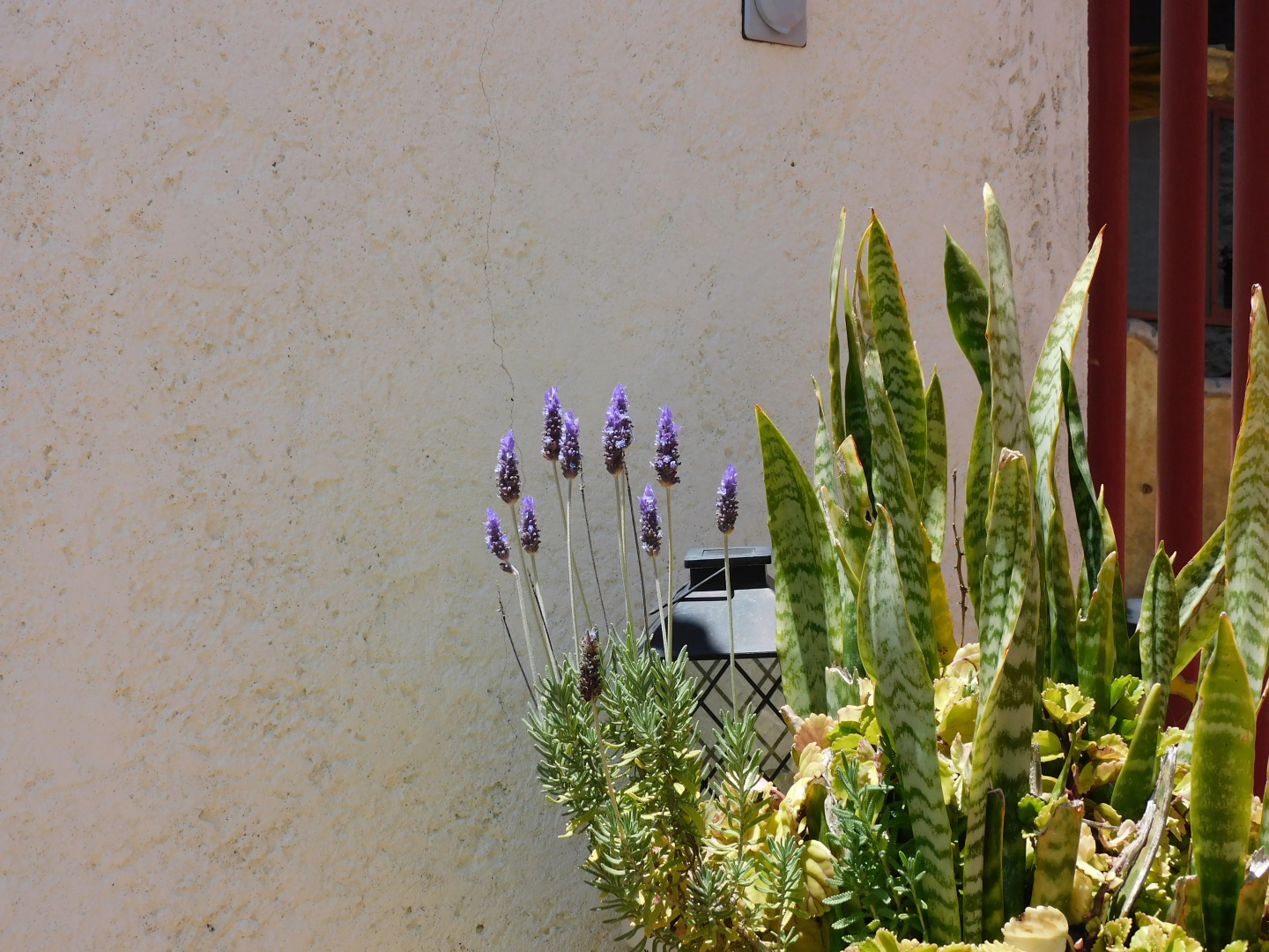 Отель El Huizache Rotamundos