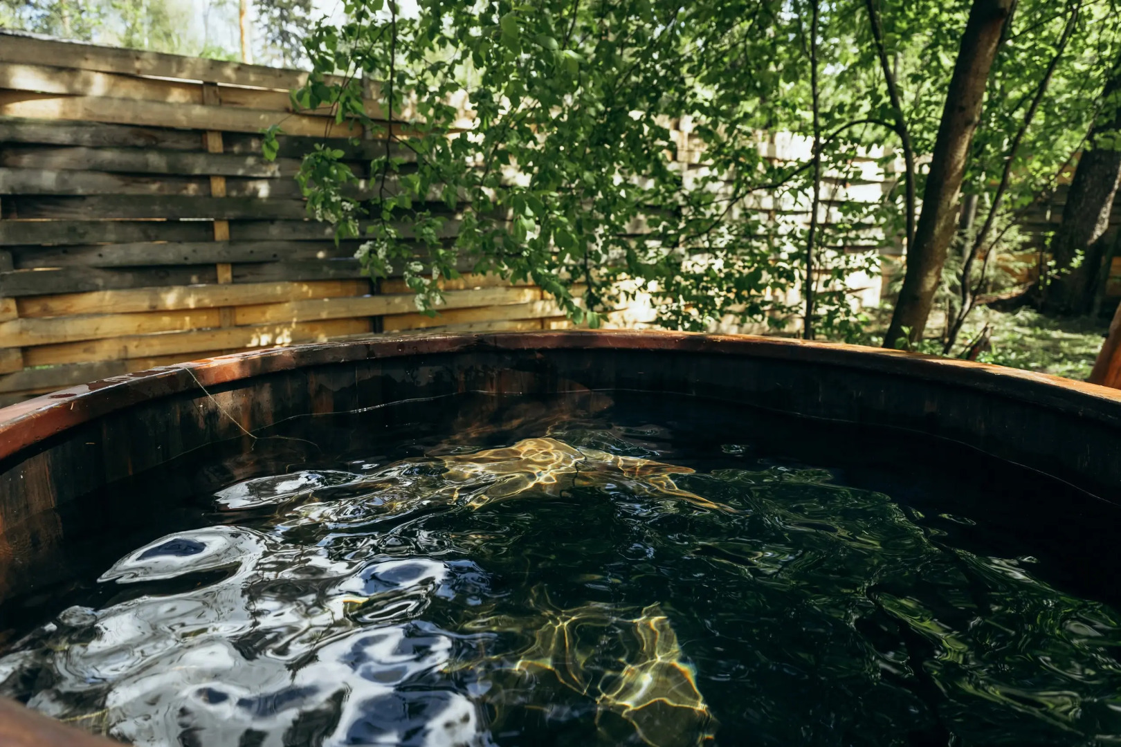 Мини-отель Гуси-Лебеди