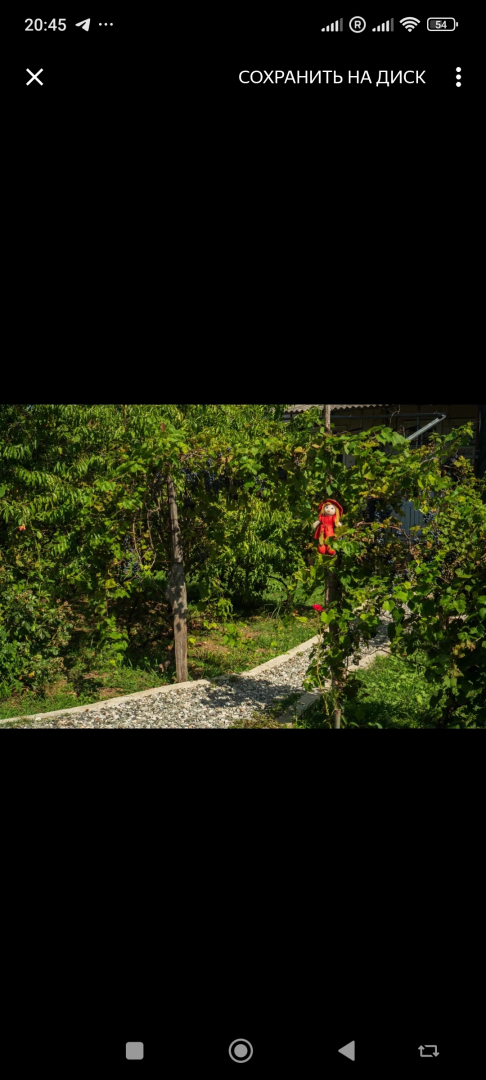 Гостевой дом Листва