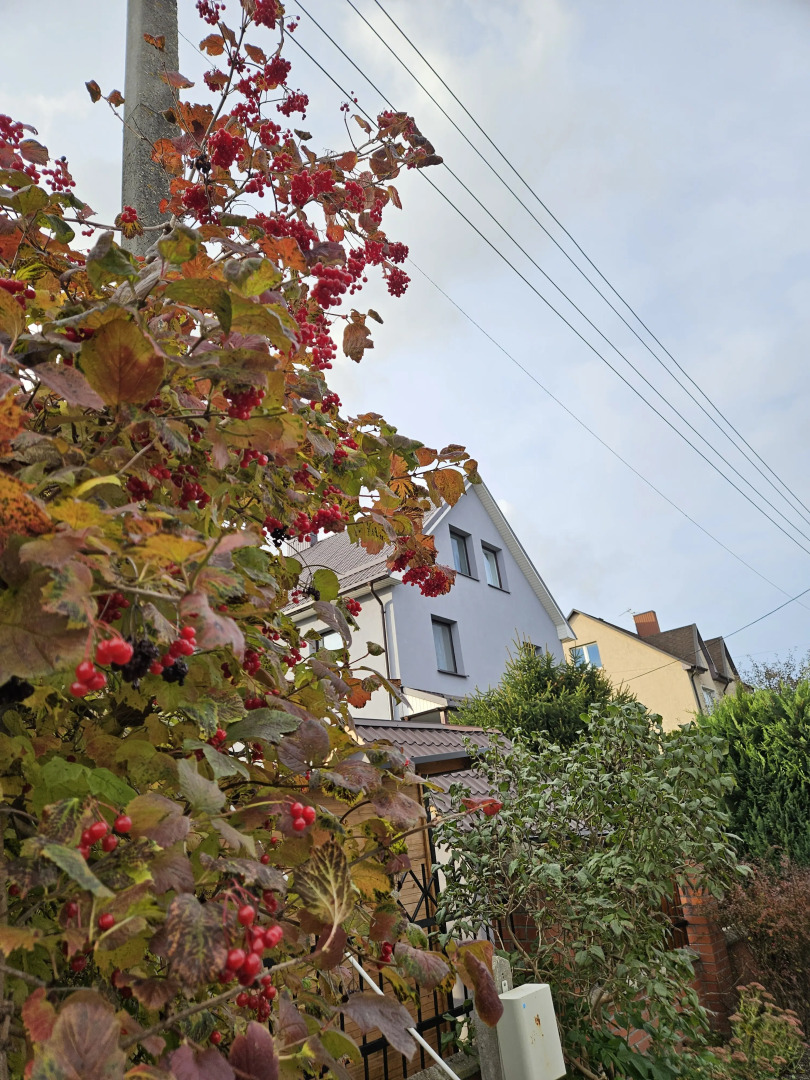 Гостевой дом Миниотелик