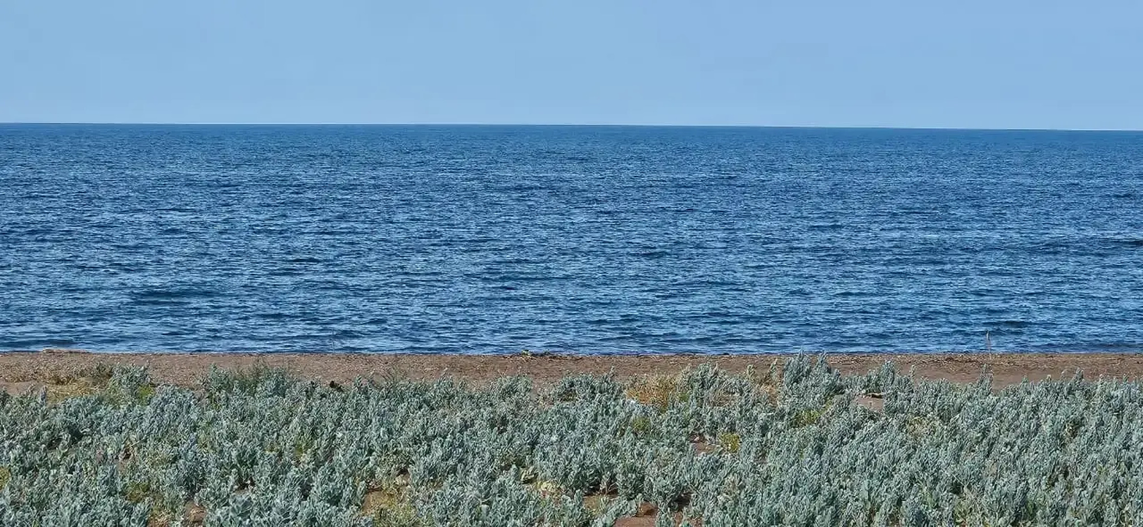 Бунгало Капсульный Отель на 4 человека у моря