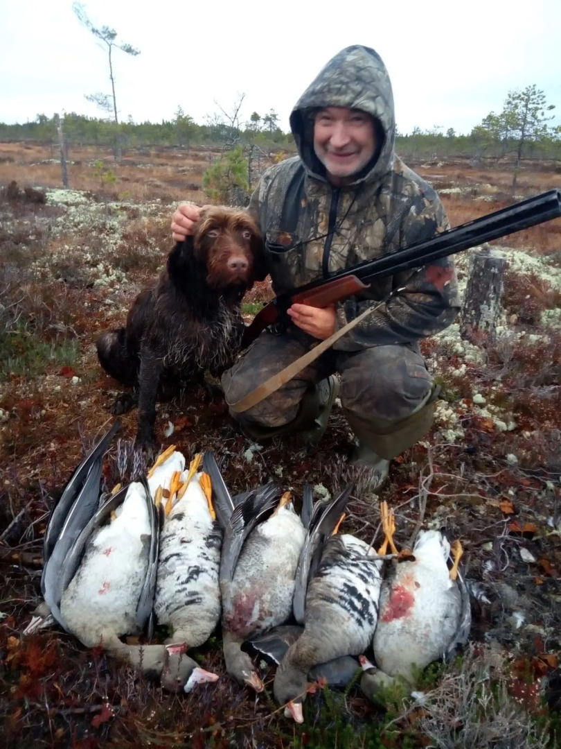 Частный дом Дом в Карелии Идиллия