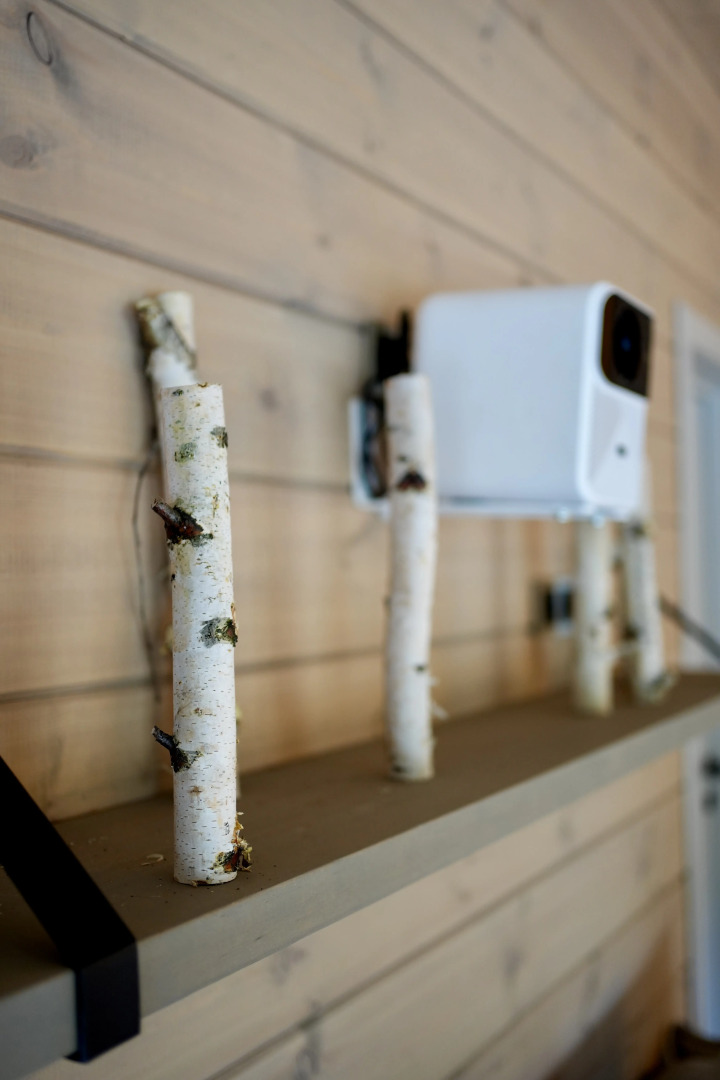 Частный дом Betula