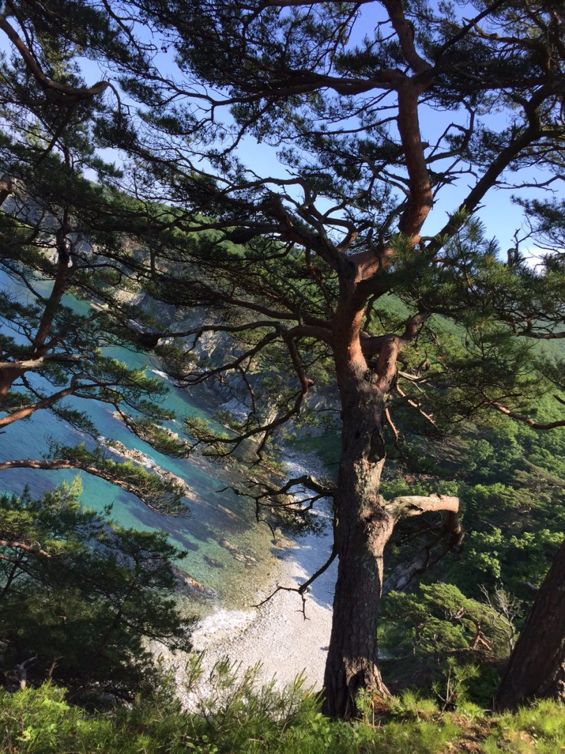 База Отдыха Нептун