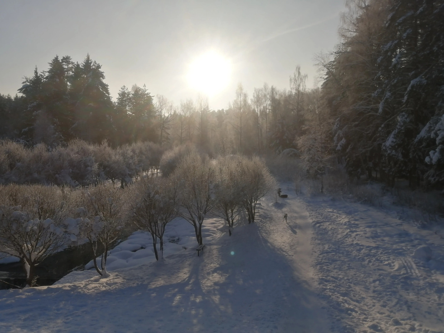Частный дом в Заветах Ильича с голубой гостиной