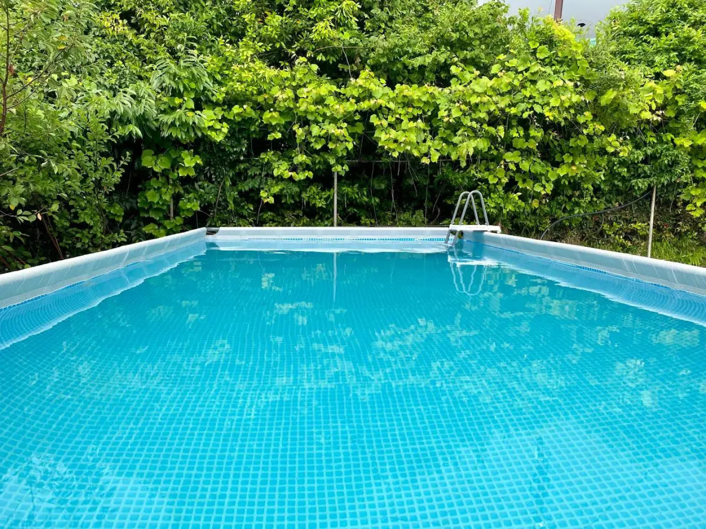 Мини-отель Калипсо