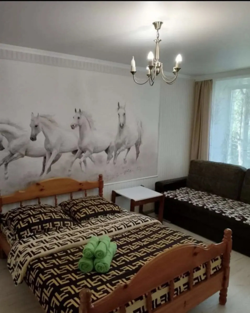 Апартаменты Центральная 6/2