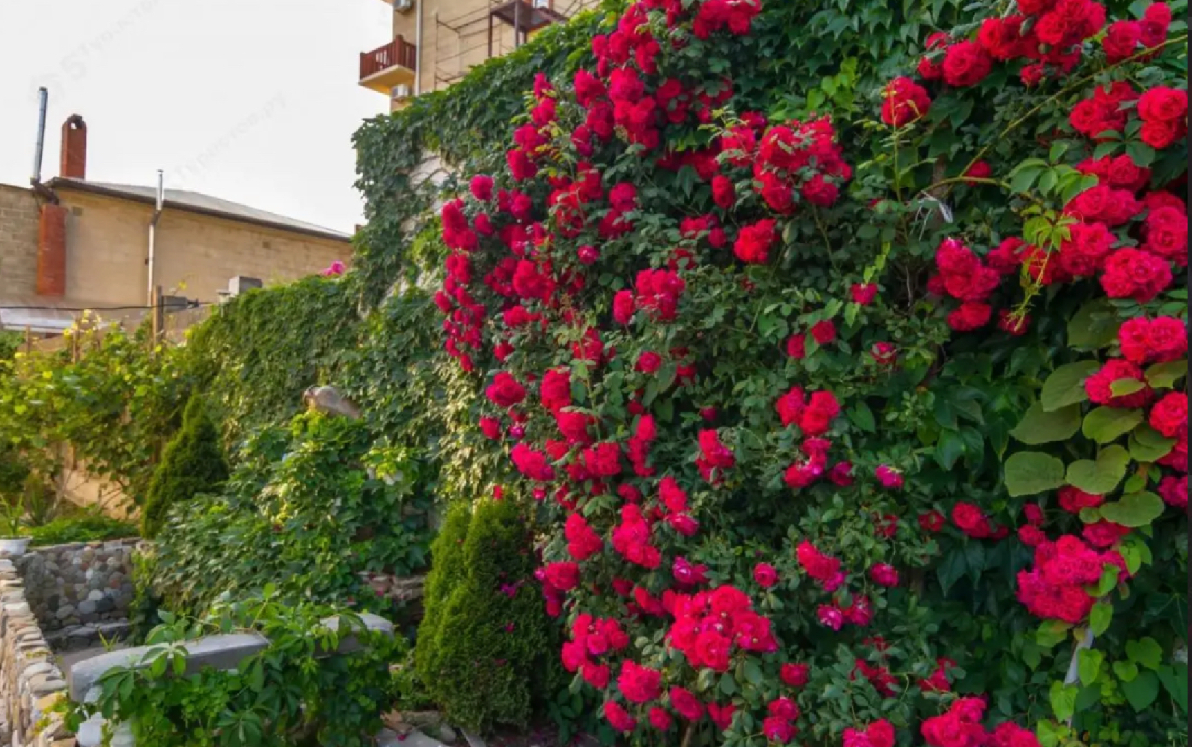 Гостевой дом У Аркадия