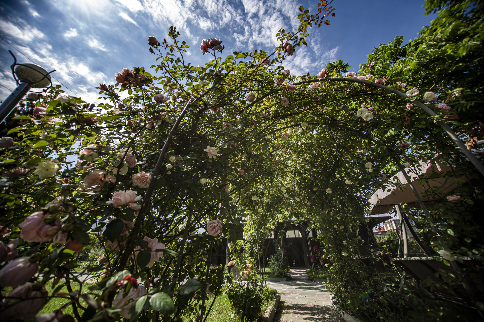 Отель Chveni Ezo Boutique Hotel