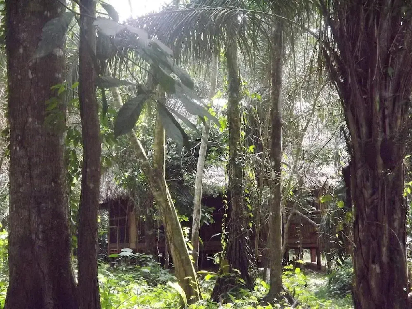 Гостевой Дом Ecolucerna Lodge