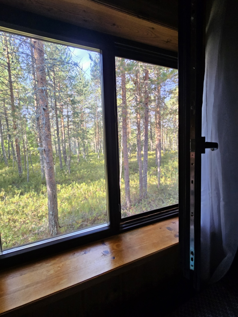 Частный дом Ильинка в Карелии