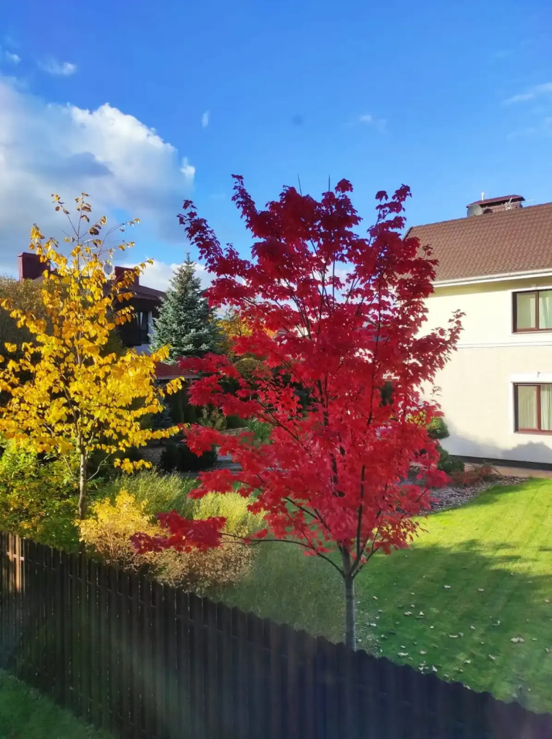 Апартаменты Dolce vita с автономным отоплением, 2 санузлами и тренажёром