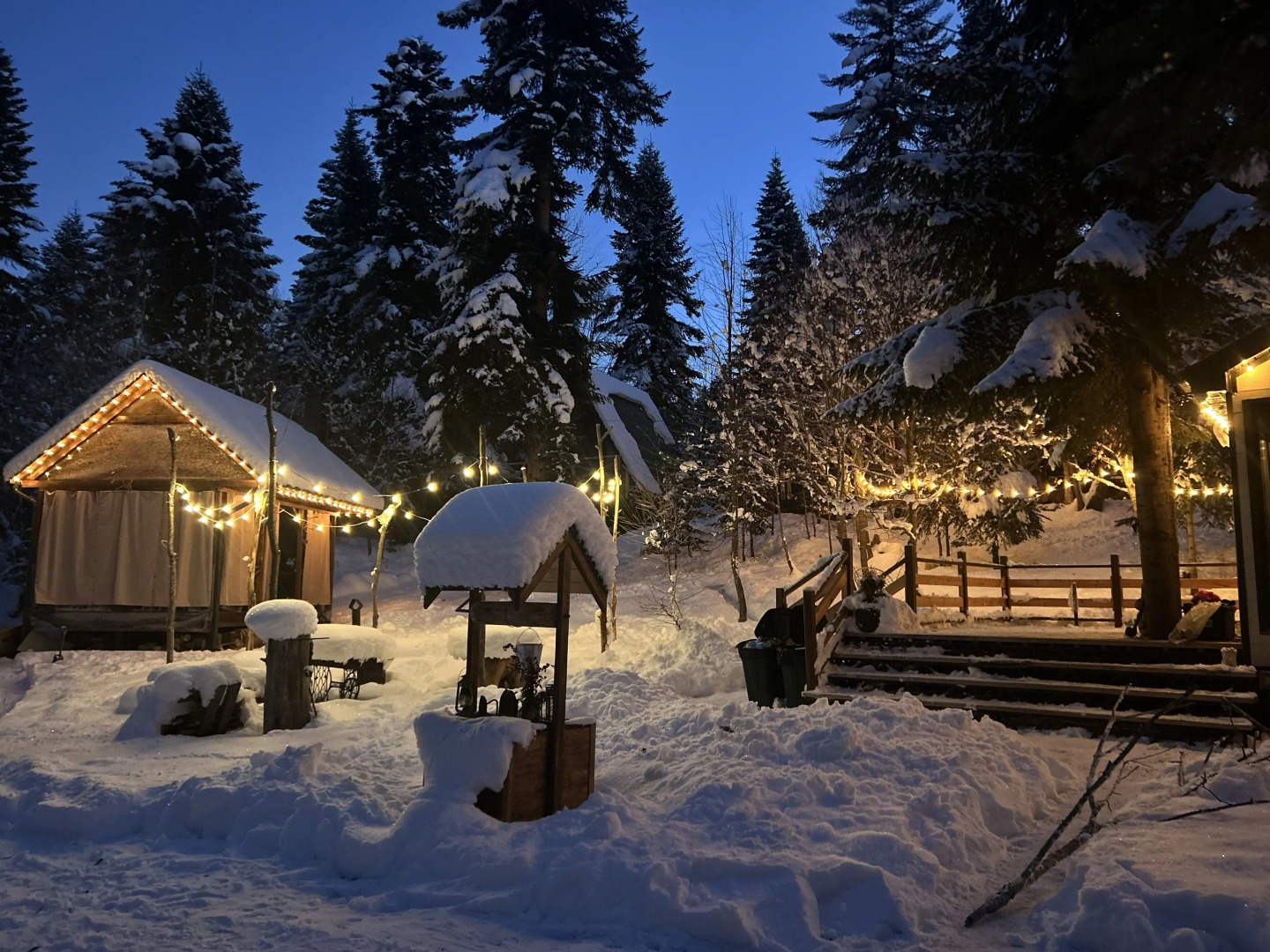 Счастливый лось