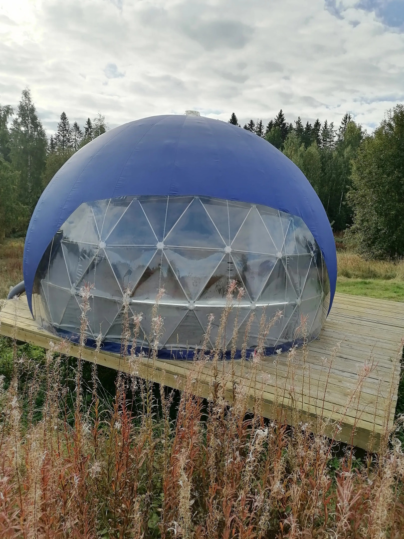 Папоротник